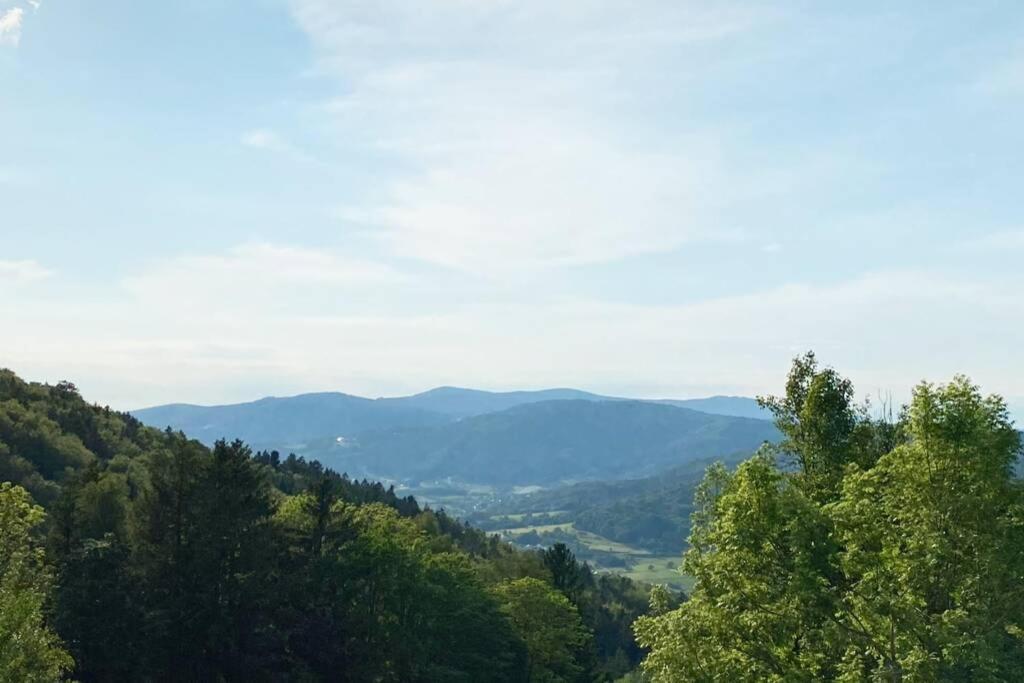 Schöfweg Mitten Im Bayerischen Wald + Schonblick + Urig + Netflix מראה חיצוני תמונה